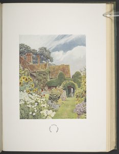 Cleeve Prior，向日葵，乔治-S-杰克塞尔-埃尔古德和格特鲁德-杰基尔合著的《英国的一些花园》中的插图 作者 乔治·塞缪尔·埃尔古德