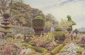 Levens，Roses和Pinks 作者 乔治·塞缪尔·埃尔古德