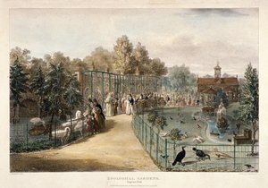 动物园，摄政公园，伦敦，1835年