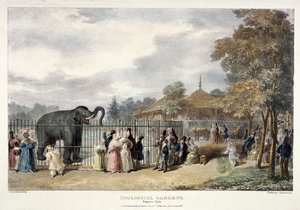 动物园，摄政公园，伦敦，1835年。  