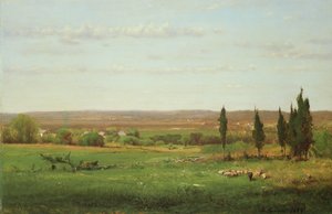 1869年，在艾格斯伍德（Eagleswood）附近 作者 乔治·斯尼尔因内斯