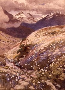 阿尔卑斯山的花（纸上水彩） 作者 乔治·索珀