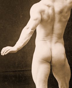 Eugen Sandow，古典古希腊罗马姿势，细节DGC 1073442 c.1894 bw照片