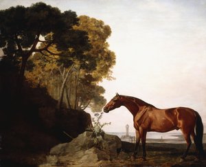 1779年，沿海景观中的海湾阿拉伯人 作者 乔治·斯塔布斯
