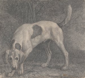 嗅到气味的猎狐犬 作者 乔治·斯塔布斯