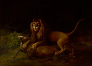 狮子攻击雄鹿》，1765年至1766年间。 作者 乔治·斯塔布斯