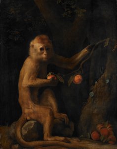 一只猴子 作者 乔治·斯塔布斯