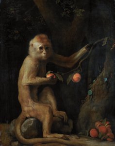 一只猴子 作者 乔治·斯塔布斯