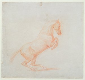 一匹跃马，朝右，1790年（纸上的红色粉笔） 作者 乔治·斯塔布斯