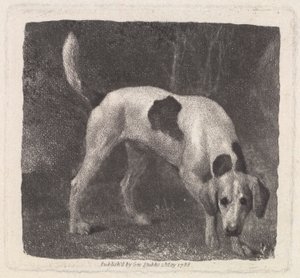 狗（香味上的猎狐犬）由艺术家，酒吧刻。 1788 作者 乔治·斯塔布斯