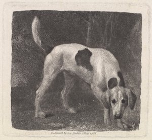 狗 [嗅觉灵敏的猎狐犬] 作者 乔治·斯塔布斯