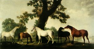 温莎大公园坎伯兰公爵的种马场的五匹母马》，1765年，1944年。   作者 乔治·斯塔布斯