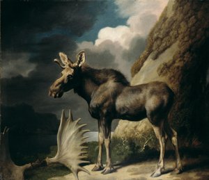 穆斯，1770年 作者 乔治·斯塔布斯