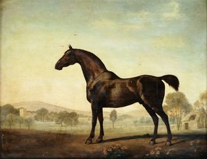 亲爱的”，海湾赛马，在小牧场，1779年 作者 乔治·斯塔布斯