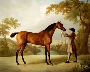 崔斯特瑞姆·香迪（Tristram Shandy），新郎在宽阔的景观中所抱的海湾赛马，约1760年 作者 乔治·斯塔布斯