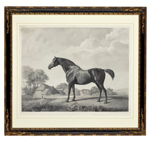 Sweetbrier（点画） 作者 乔治·汤利·斯塔布斯