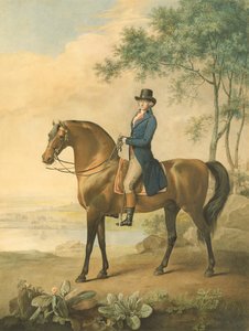 沃伦黑斯廷斯在他的阿拉伯马，1796年