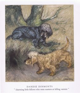 Dandie Dimonts（彩色印刷版）