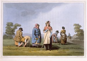 由罗伯特·哈维尔（Robert Havell the Elder）雕刻的下坡者，由利兹的罗宾逊和儿子于1814年出版
