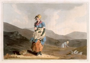 由罗伯特·哈维尔（Robert Havell the Elder）雕刻的蔓越莓女孩，由利兹的罗宾逊和儿子于1814年出版