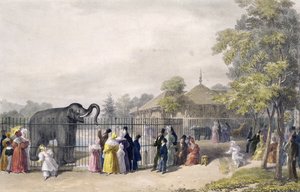摄政公园的动物园里的象屋，雕刻和酒吧。由艺术家创作，由Charles Hullmandel（1789-1850），1835年创作
