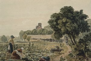 切尔西市场花园 作者 小乔治·巴雷特（George the Younger Barret）