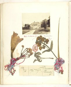 无题[有干花的布罗德兰景色]，1868年。  