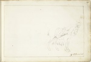 马，向右转 作者 Gerard ter Borch (II)（艺术家签名）