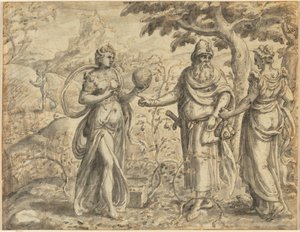 从播种者的比喻中得到的荆棘中的种子，c。 1573。 作者 杰拉德·范·格罗宁根