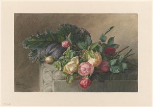 有玫瑰和卷心菜叶的静物 作者 杰拉迪娜（Gerardina Jacoba）van de Sande Bakhuyzen