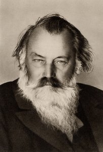 约翰内斯-勃拉姆斯（1833-1897）（黑白照片）