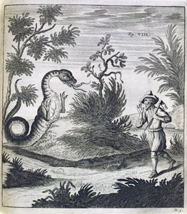 一条恐惧的龙，1660年 作者 德国学校