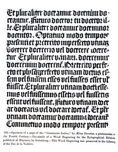 由Aelius Donatus撰写的“Grammaire Latine”页面，来自“中世纪和文艺复兴时期的科学与文学”的插图，由Paul Lacroix编写和雕刻，1878年 作者 德国学校