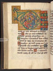 Add.60629，f.43v 金色和彩色大框首字母缩写，带有叶状装饰，有时还有变形和拟人装饰（牛皮纸） 作者 德国学校