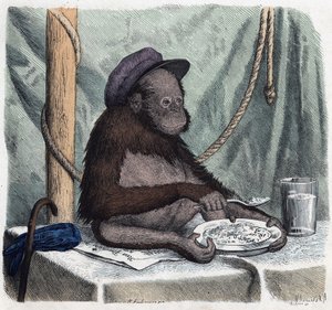 一个受过教育的猩猩（orang-utan，orang outang，orang-utang）用勺子吃米。在 "Wenn Jemand eine Reise thut, so kann er was erzahlen"（当有人旅行时，这是他能说出的），德国故事，作者Franz Wiedemann 作者 德国学校