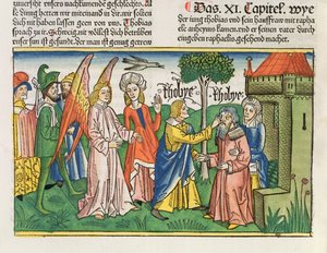 Apocrypha：托比亚斯从纽伦堡圣经（Biblia Sacra Germanaica）（彩色木刻）中恢复他的父亲托比特的视线