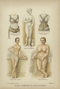 女性身体的美丽和畸形 作者 德国学校