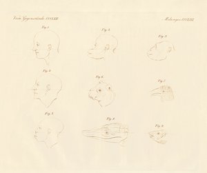 露营者的面部角度（彩色雕刻） 作者 德国学校