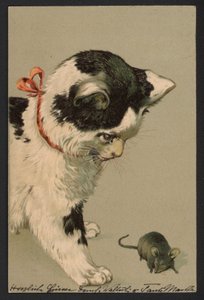 猫玩老鼠（彩色石版画） 作者 德国学校