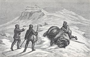 酒吧，麝香牛的死亡。伦敦1874年 作者 德国学校