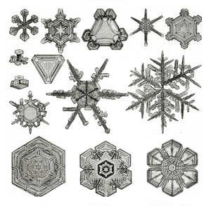 不同形式的雪花 作者 德国学校