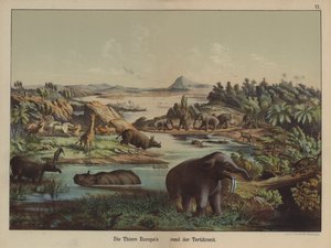 European animals of the Tertiary Period (colour litho) 作者 德国学校