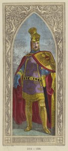 Friedrich Von Oesterreich 作者 德国学校