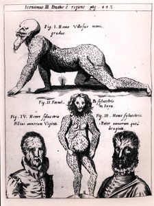 多毛的男人和野人，插图来自Physica Curiosa by Gaspar Schott（1608-66） 作者 德国学校