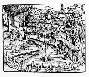 快乐的丈夫照顾蜜蜂，来自维吉尔的Georgics的插图，第四册，来自Sebastian Brants（1457-1521）版，1502年出版 作者 German School