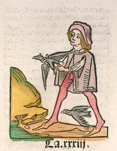 雅各布-梅登巴赫于 1491 年出版的 Hortus Sanitatis [健康花园]（木刻） 作者 德国学校