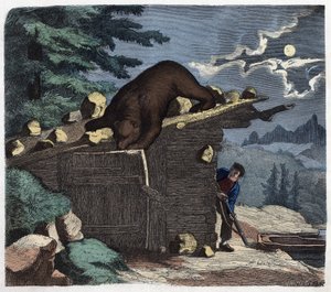 猎人想要杀死高山森林里的熊。在 "Wenn Jemand eine Reise thut, so kann er was erzahlen"（当有人旅行时，这是他能说出的），德国故事，作者Franz Wiedemann 作者 德国学校
