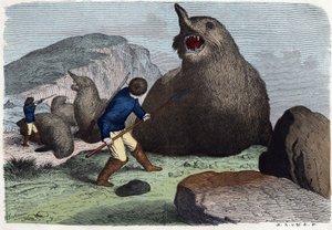 猎人与海象作战。在 "Wenn Jemand eine Reise thut, so kann er was erzahlen"（当有人旅行时，这是他能说出的），德国故事，作者Franz Wiedemann 作者 德国学校