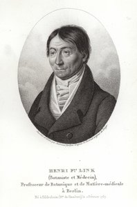 Johann Heinrich Friedrich Link 作者 德国学校