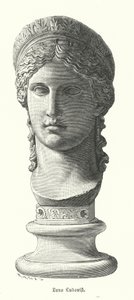 朱诺·卢多维西 (Juno Ludovisi)，古罗马巨大的大理石头像，描绘了马克·安东尼和奥克塔维亚·米诺 (Octavia Minor) 的女儿安东尼娜·米诺 (Antonina Minor) 作为朱诺女神 (雕刻) 作者 德国学校